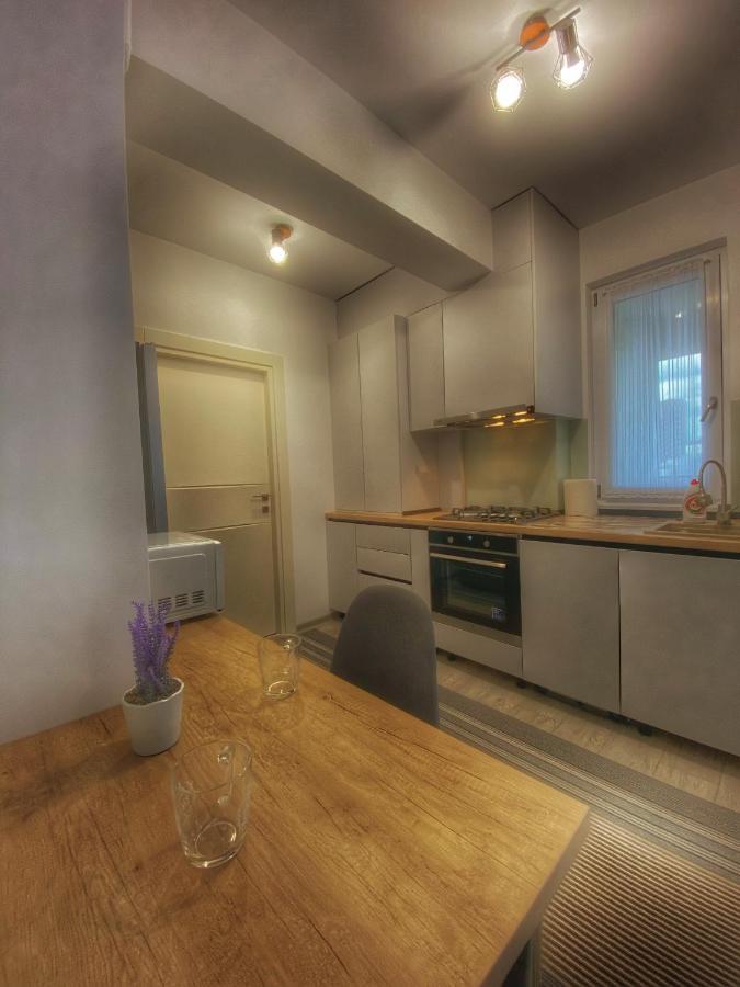 Homey Apartament 2 Rooms Palas Mall Iasi Exterior foto