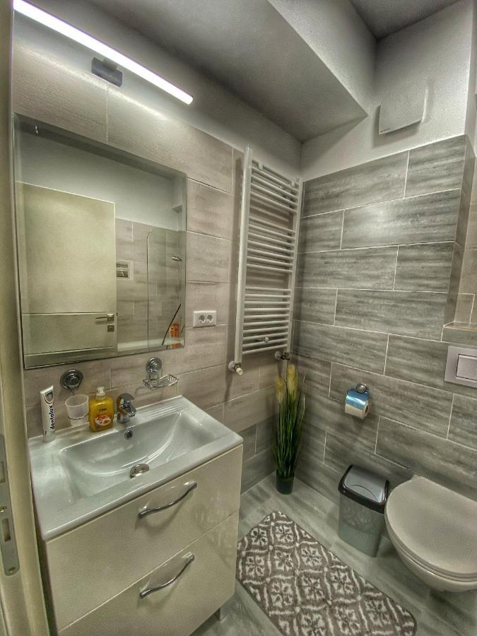 Homey Apartament 2 Rooms Palas Mall Iasi Exterior foto